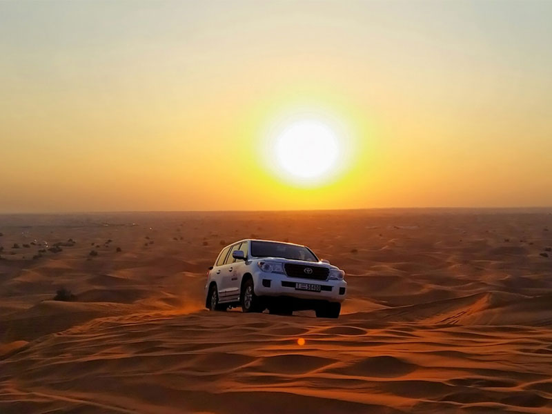 best evening desert safari